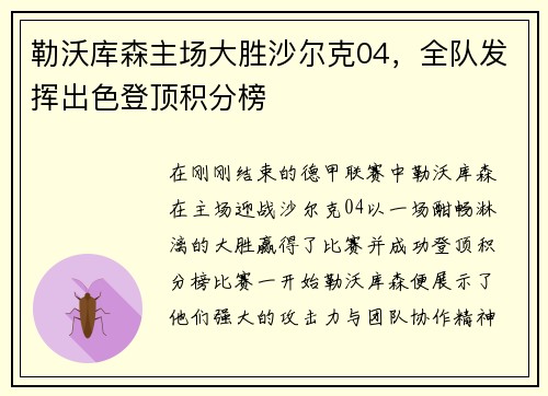 勒沃库森主场大胜沙尔克04，全队发挥出色登顶积分榜